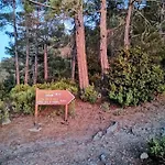 Madari Hills Health Retreat Vakantiehuis