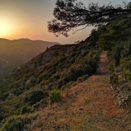 Madari Hills Health Retreat * Nicosia
