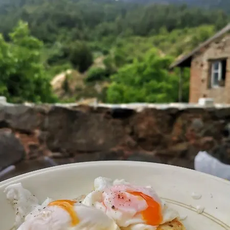 Madari Hills Health Retreat Vakantiehuis