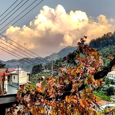 Madari Hills Health Retreat Vakantiehuis Nicosia