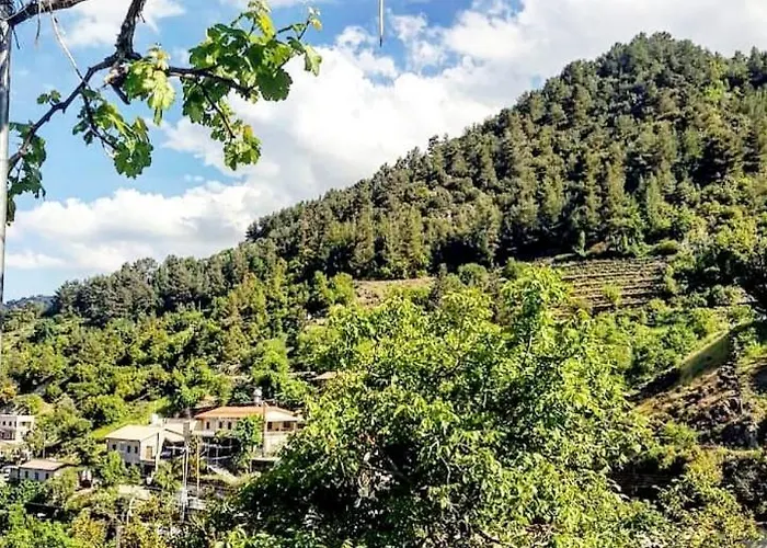 Madari Hills Health Retreat Nikósie