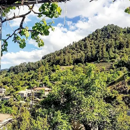 Madari Hills Health Retreat Nikosia