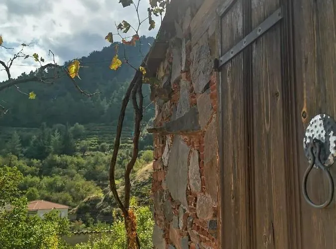 Madari Hills Health Retreat *